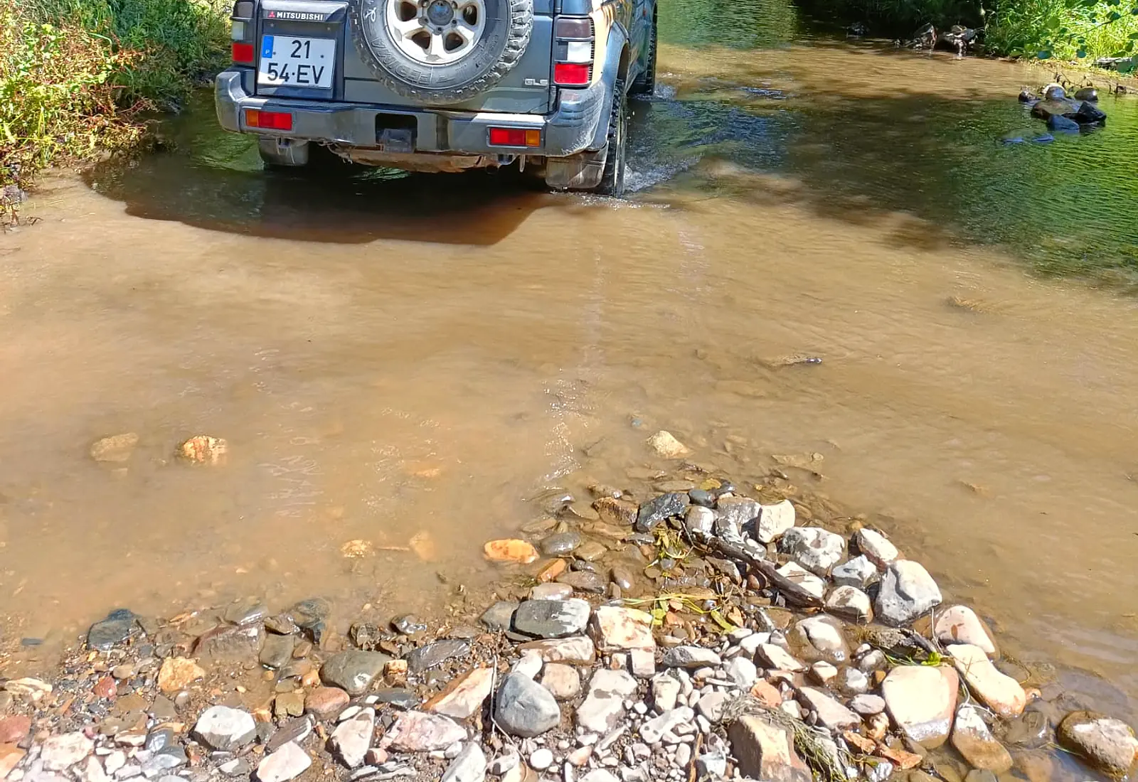 Jeep on a forest route